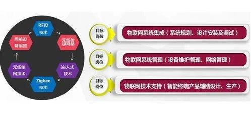特色專業(yè)介紹丨物聯(lián)網(wǎng)應用技術(shù)專業(yè) 網(wǎng)絡技術(shù)開發(fā)的創(chuàng)新引擎