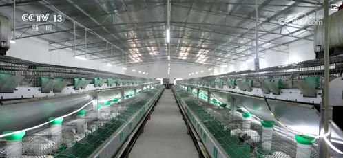 衍生農(nóng)產(chǎn)品與網(wǎng)絡(luò)技術(shù) 創(chuàng)意農(nóng)業(yè)為鄉(xiāng)村振興注入“別樣美”