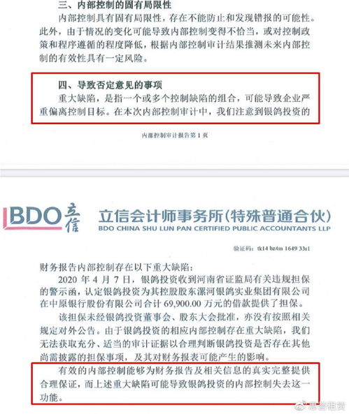 銀鴿投資 審計報告懸而未決，監管部門該主動出擊了